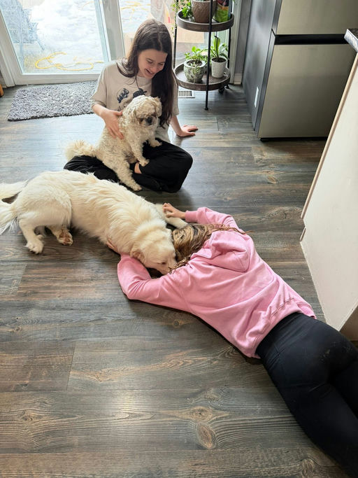 A Ruff Road Revival rescue