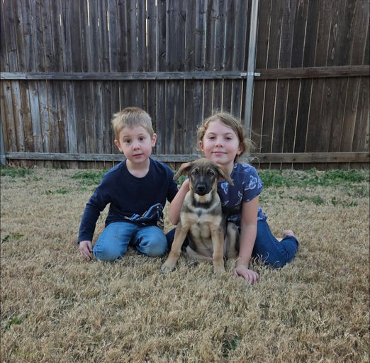 A Ruff Road Revival rescue