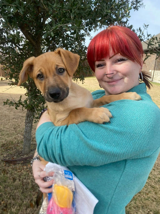 A Ruff Road Revival rescue