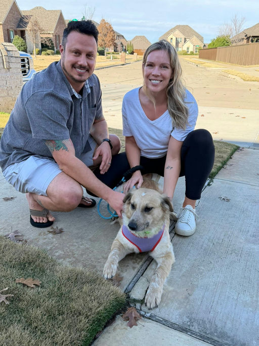 A Ruff Road Revival rescue