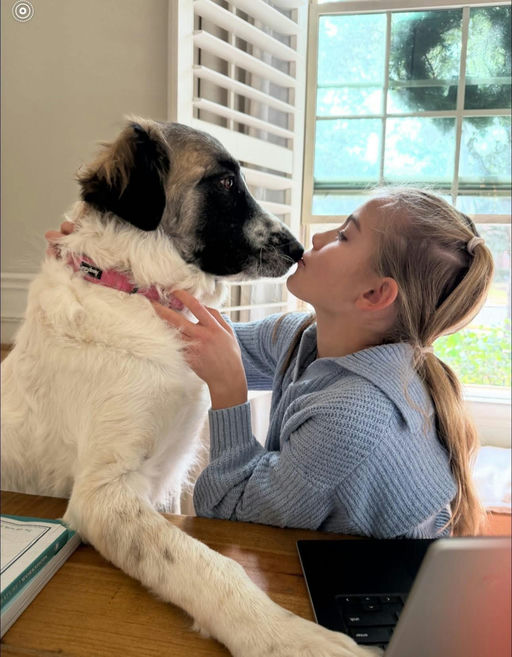A Ruff Road Revival rescue
