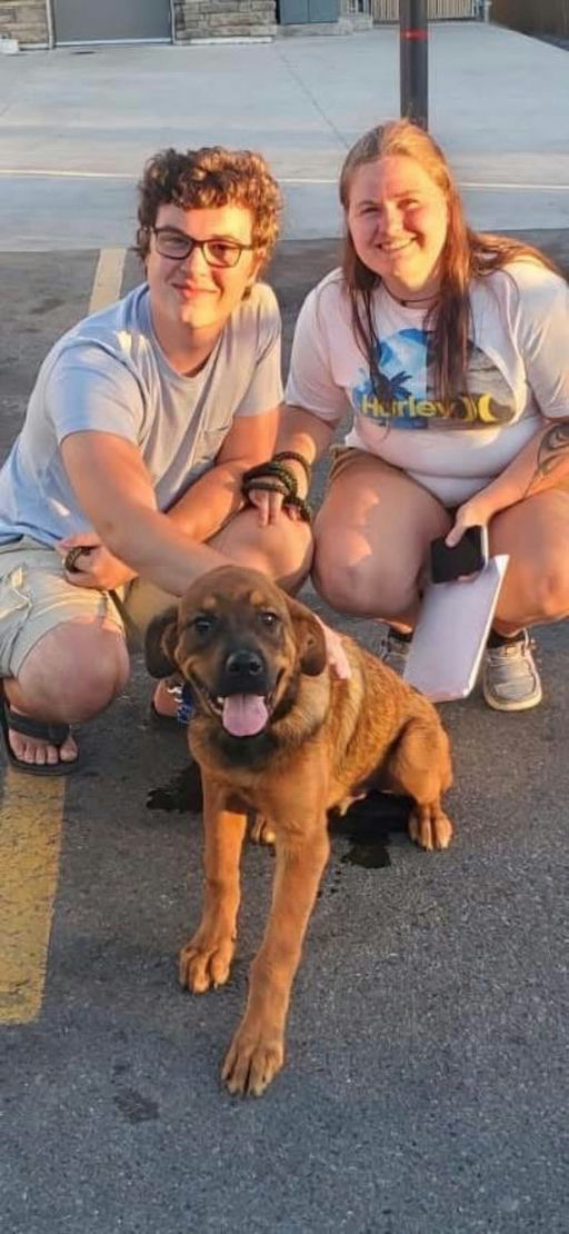 A Ruff Road Revival rescue