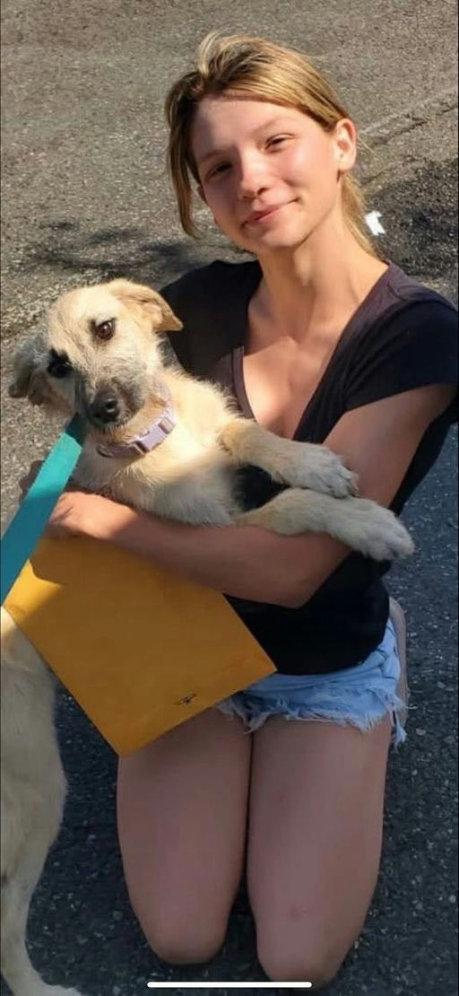 A Ruff Road Revival rescue