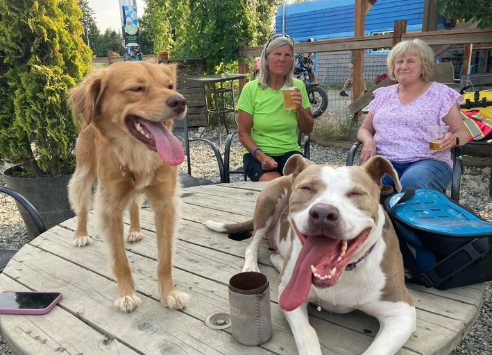 A Ruff Road Revival rescue