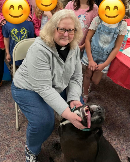 A Ruff Road Revival rescue