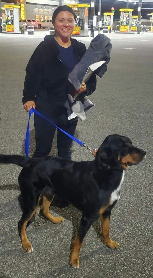 A Ruff Road Revival rescue