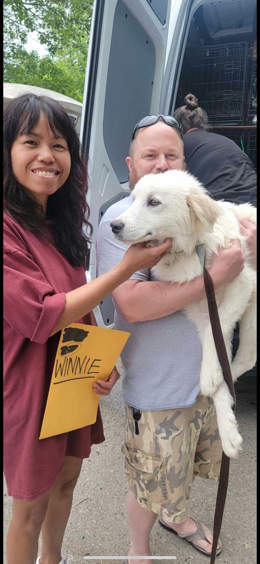 A Ruff Road Revival rescue