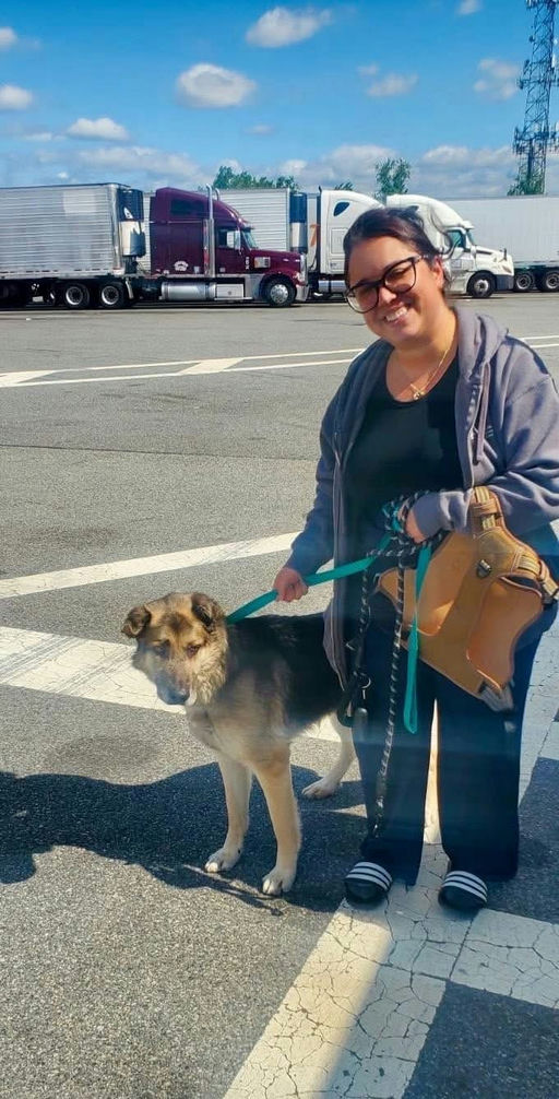 A Ruff Road Revival rescue