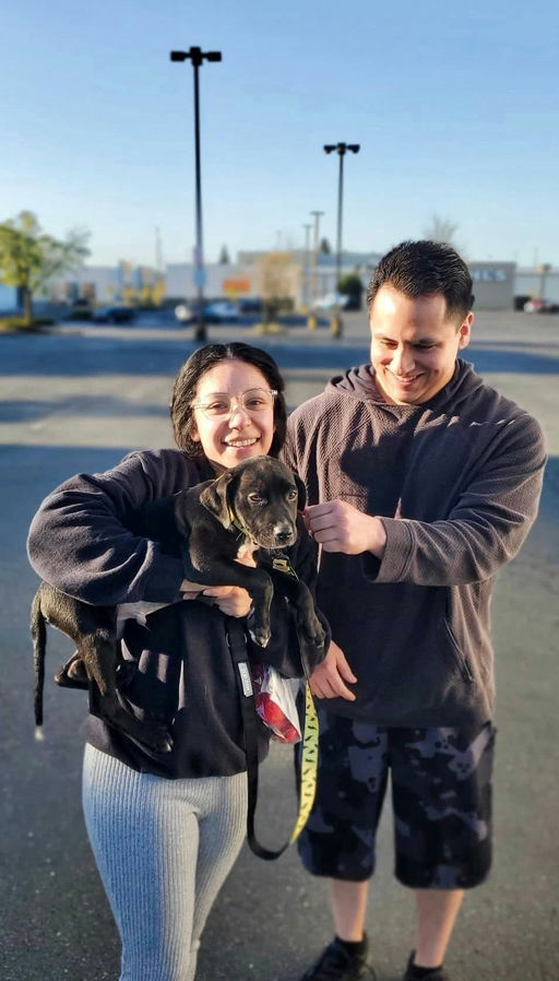 A Ruff Road Revival rescue