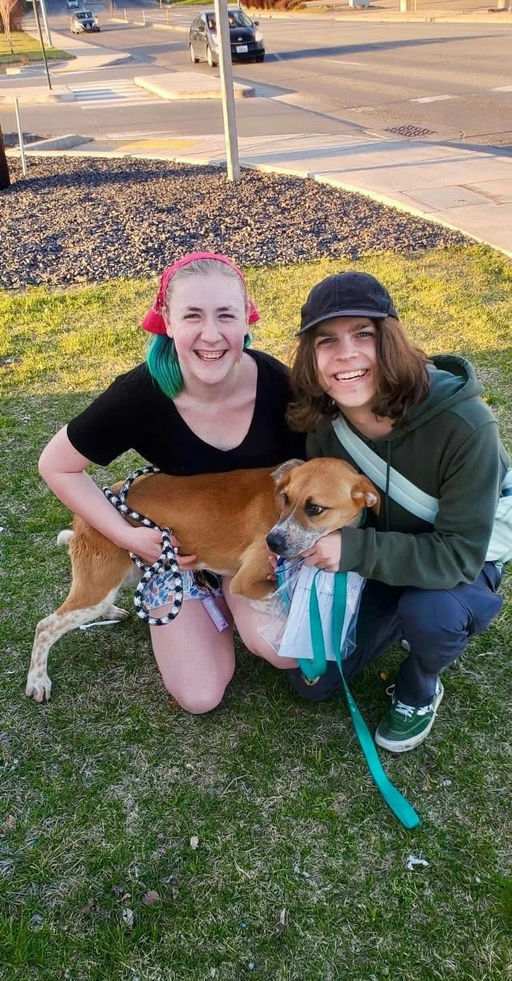 A Ruff Road Revival rescue