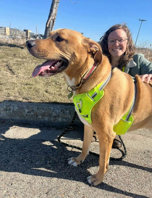 A Ruff Road Revival rescue