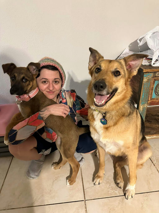 A Ruff Road Revival rescue