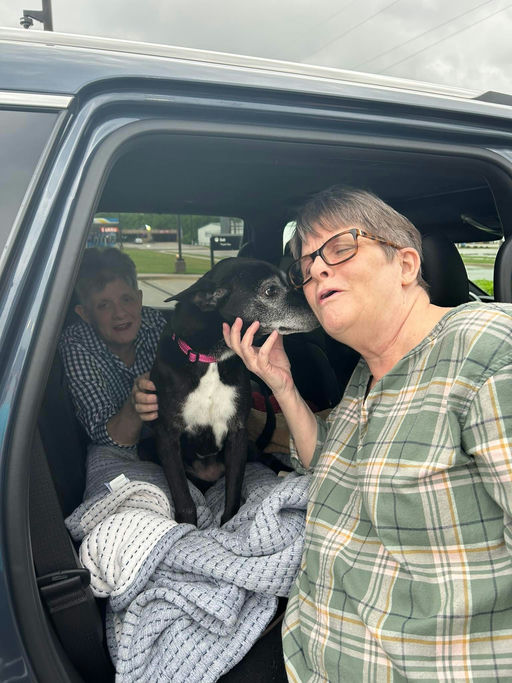 A Ruff Road Revival rescue