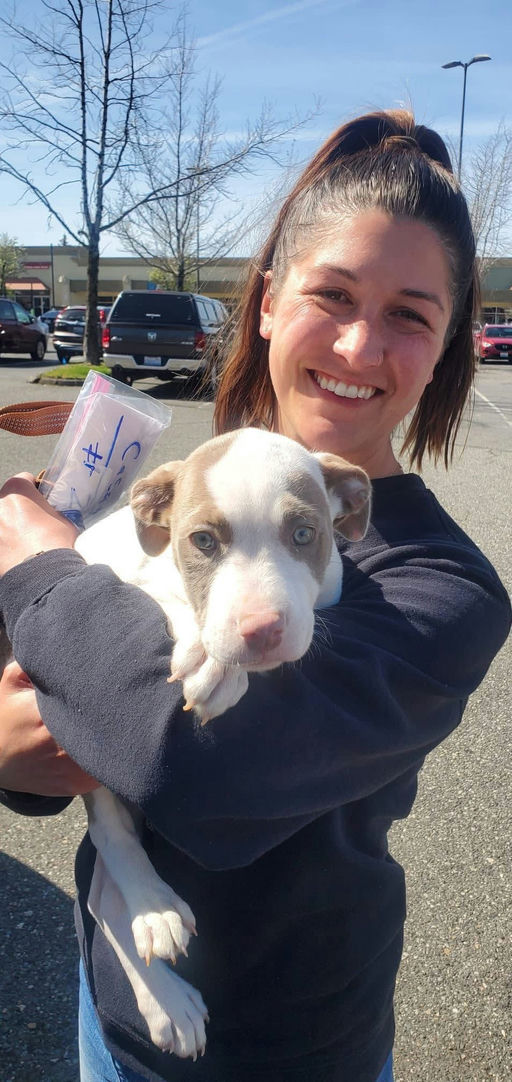 A Ruff Road Revival rescue