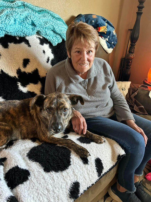 A Ruff Road Revival rescue