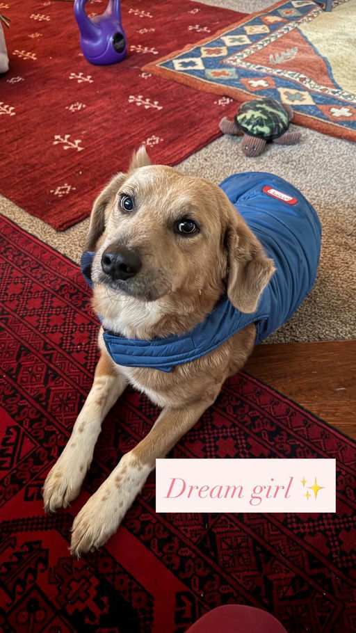 A Ruff Road Revival happy tail