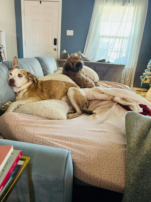 A Ruff Road Revival happy tail
