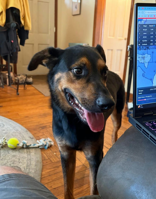 A Ruff Road Revival happy tail