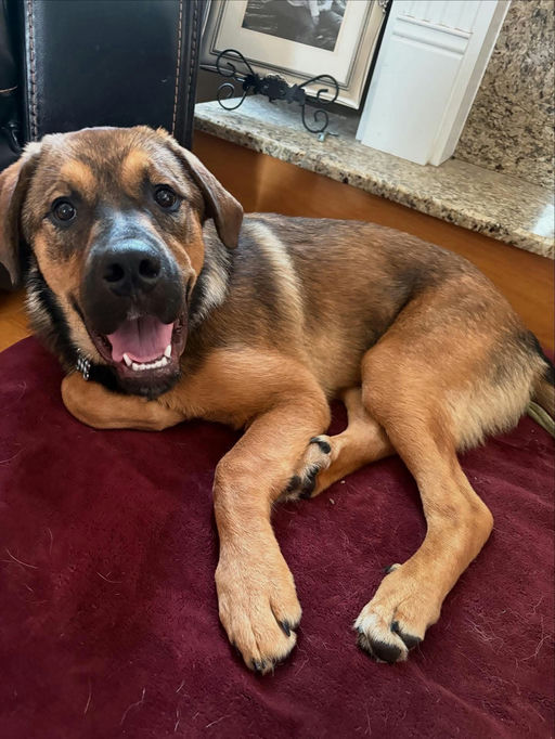 A Ruff Road Revival happy tail