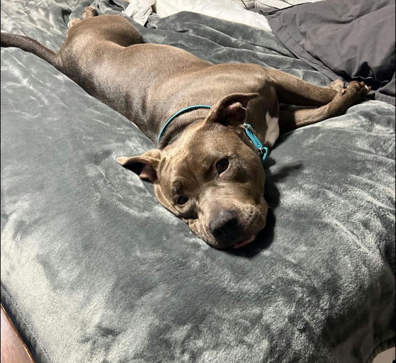 A Ruff Road Revival happy tail