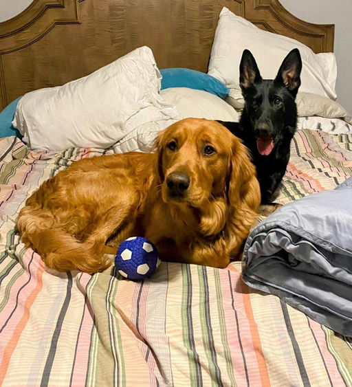 A Ruff Road Revival happy tail