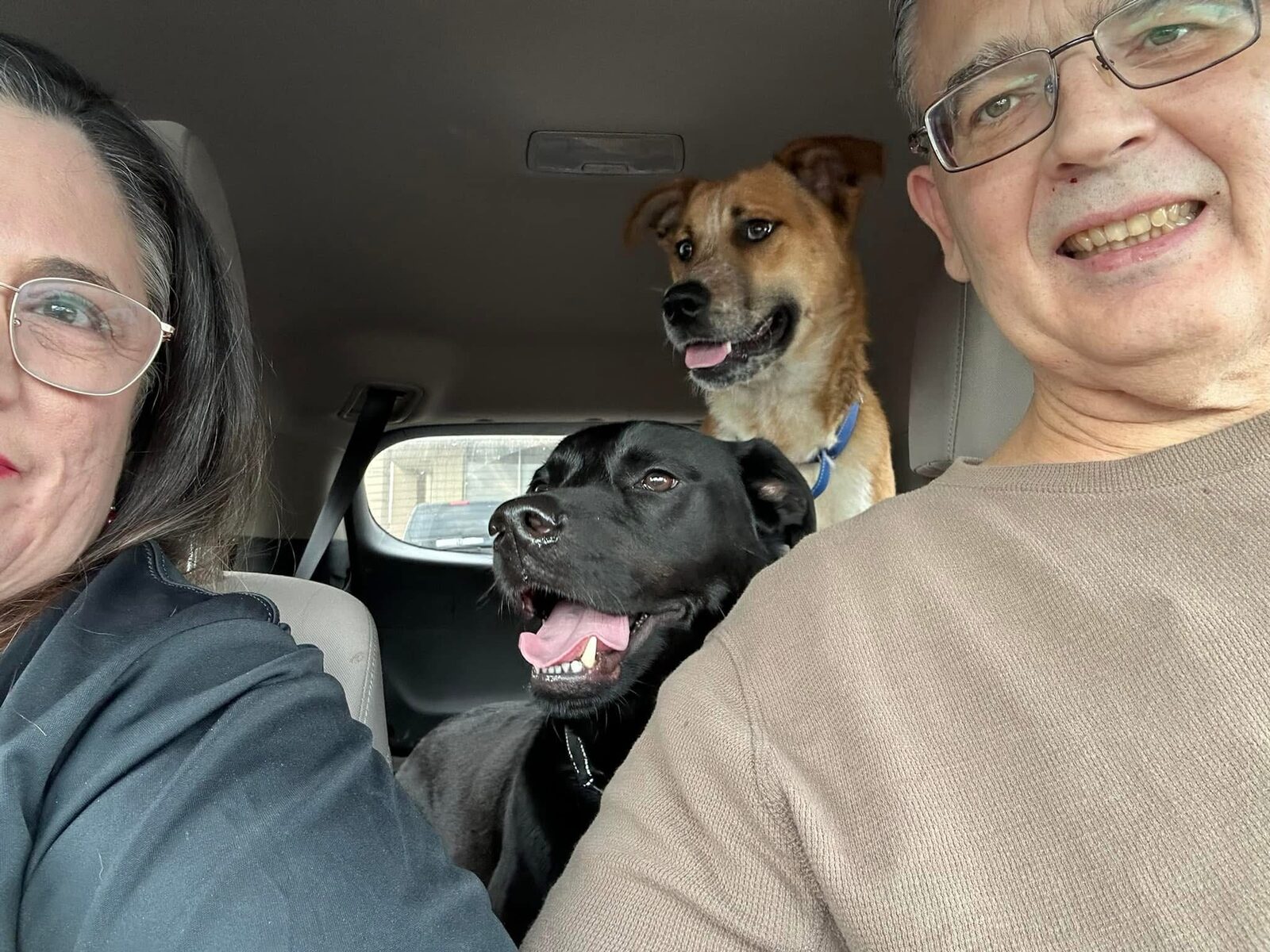 A Ruff Road Revival happy tail