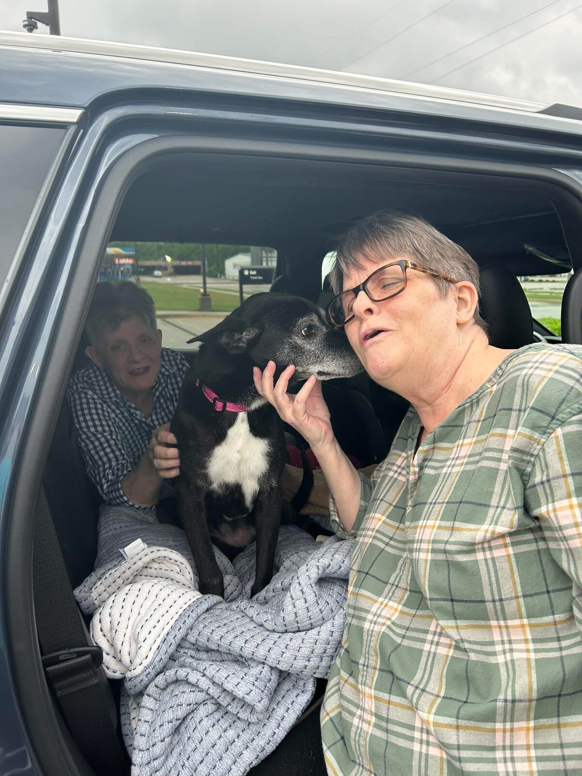 A Ruff Road Revival happy tail