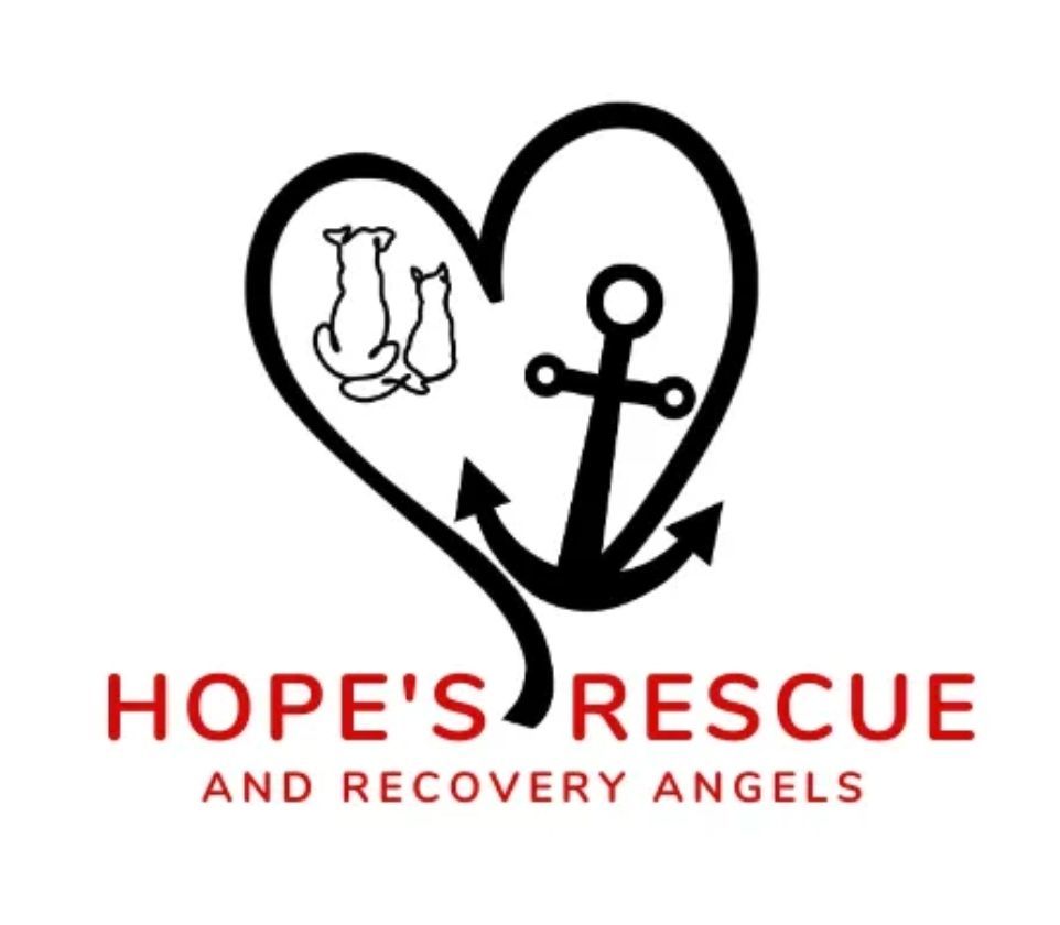 Hope's Rescue and Recovery Angels